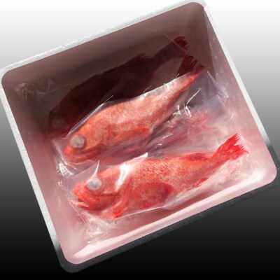 ＜12/21まで年内配送＞★キチジ(キンキ・めんめ)×3～5尾(下処理済) C-30070