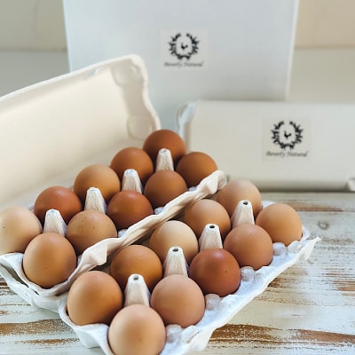 ＜12/7まで年内配送＞★美波里のたまご10個入×6P(計60個) F-39001