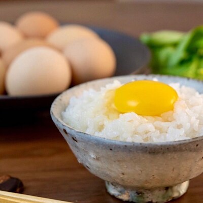 ＜12/7まで年内配送＞★美波里のたまご10個入×6P(計60個) F-39001