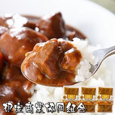 ＜12/10まで年内配送＞★短角和牛のビーフカレー4P A-18037