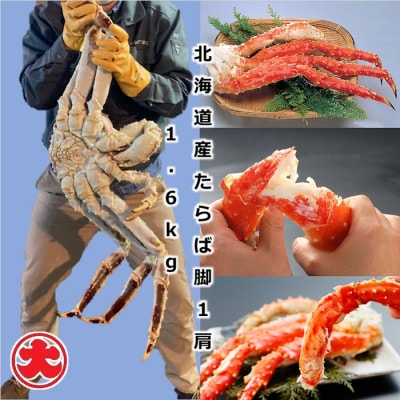 ＜12/21まで年内配送＞たらばがに脚1肩1.6kg D-01059