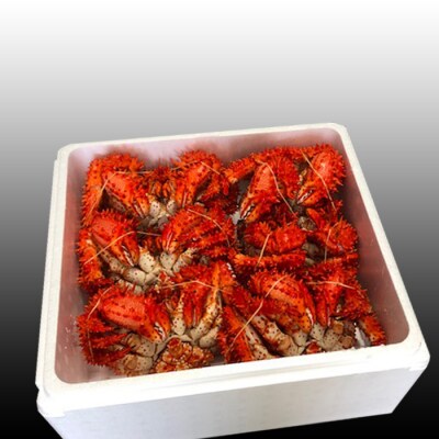 ＜12/21まで年内配送＞★花咲かに500～650g×6尾 D-36045