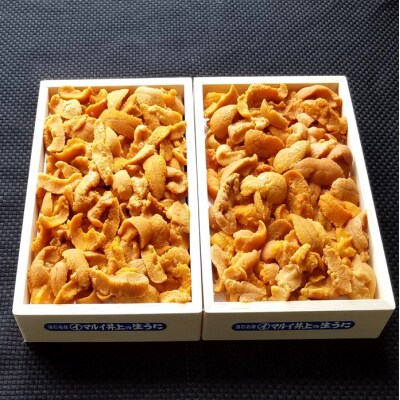 ＜12/17まで年内配送＞冷凍エゾバフンウニ(赤)300～340g[11月下旬発送] C-71021