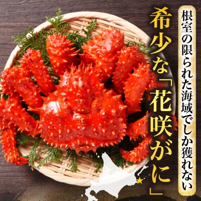 ＜12/14まで年内配送＞★花咲がに600g前後×2尾 B-20001