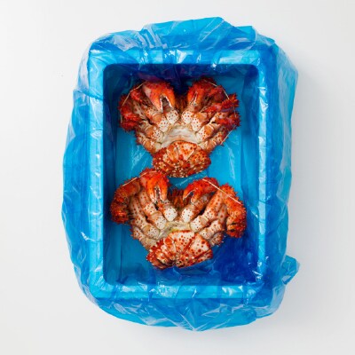 ＜12/14まで年内配送＞★花咲がに600g前後×2尾 B-20001