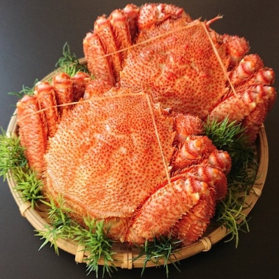 ＜12/21まで年内配送＞＜計800g前後＞毛がに400g前後×2尾 A-21007