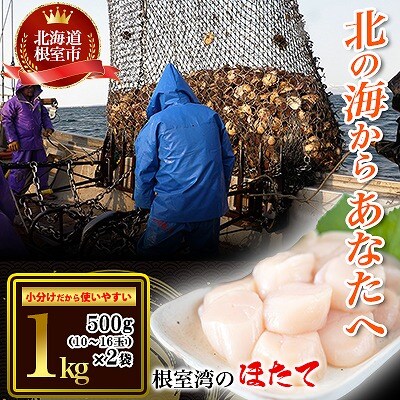 ＜12/21まで年内配送＞＼漁業者応援品/ほたて貝柱500g×2P(計1.0kg) B-45003