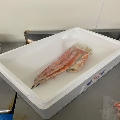 ＜12/17まで年内配送＞冷凍ボイルたらばがに脚700g～900g×1肩 C-60016