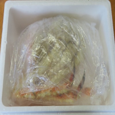 ＜12/21まで年内配送＞★ボイル冷凍たらばがに脚1肩680g F-59008