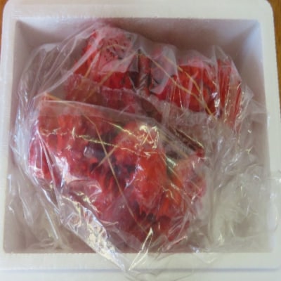 ＜12/21まで年内配送＞★花咲がに2尾(計1.3kg) F-59005