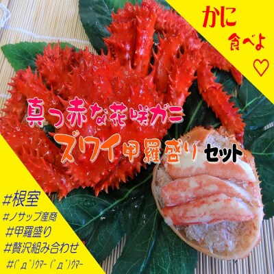 ＜12/21まで年内配送＞花咲がに1尾、ずわいがに甲羅盛り4P F-59006