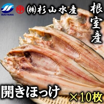 ＜12/17まで年内配送＞★冷凍開きほっけ260g前後×10枚 B-75006