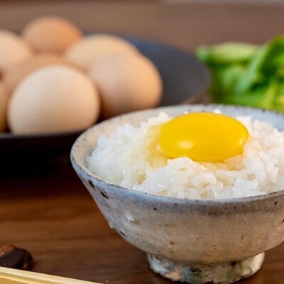 ＜12/7まで年内配送＞★美波里のたまご10個入×9P(計90個) D-39001