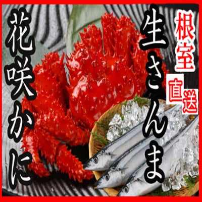 ＜12/21まで年内配送＞★花咲かに2尾・冷凍さんま5尾セット A-30004