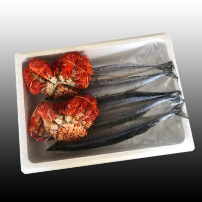 ＜12/21まで年内配送＞★花咲かに2尾・冷凍さんま5尾セット A-30004