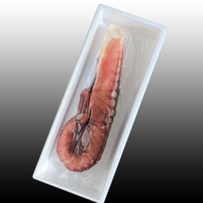 ＜12/21まで年内配送＞★たこ足800g前後～1.4㎏前後×1本 A-70051