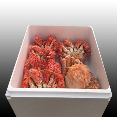 ＜12/21まで年内配送＞毛かに・花咲かにセット D-30035