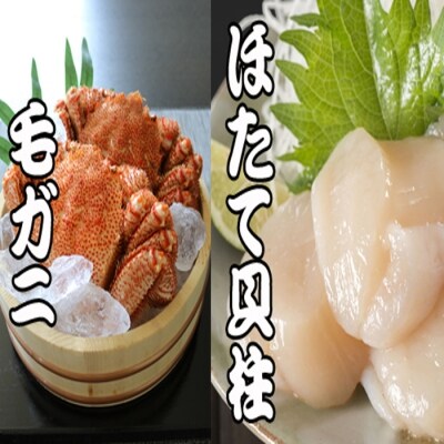 ＜12/21まで年内配送＞毛かに・ほたて貝柱セット C-70043