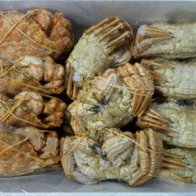 <12/21まで年内配送>★クリガニ200~250g×20~25尾(計5.0kg) D-57031