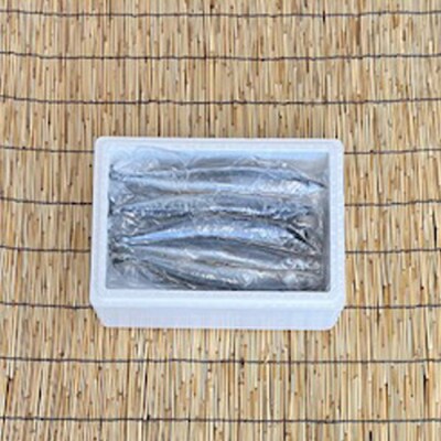 ＜12/21まで年内配送＞★冷凍さんま5尾×4P(計20尾) A-76001