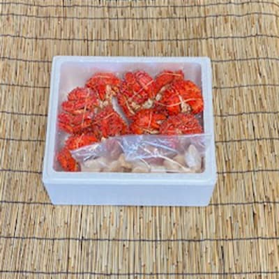 ＜12/21まで年内配送＞花咲かに500g～650g前後×5尾、ほたて500g×2P D-76005