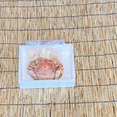 ＜12/21まで年内配送＞毛かに400～550g前後×1尾・ほたて貝柱200g×1P C-76034