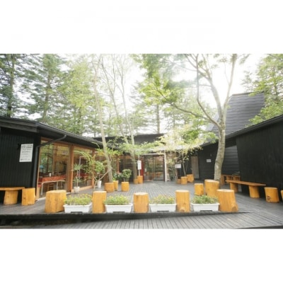 トラットリア プリモお食事引換券【選べるピッツァ&パスタ】約2名様分 [54130047]