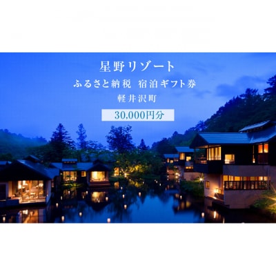 宿泊券 ホテル 軽井沢 星野リゾート 30,000円分[54130035]