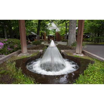 軽井沢タリアセン　大人2名　入園券 [54130294]