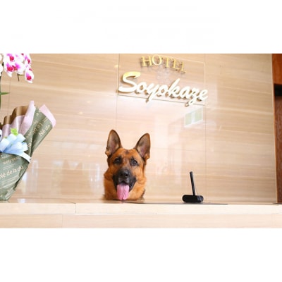 宿泊券 軽井沢 ホテル そよかぜ 5000円分 ギフト券[54130050]