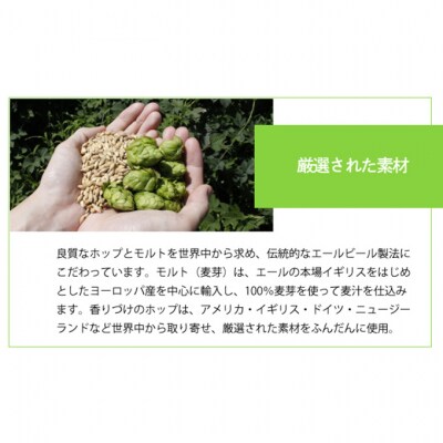 ビール よなよなエール 350ml 24本 1ケース[54130144]