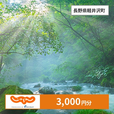 【じゃらんふるさと納税クーポン】 長野県軽井沢町でつかえる3,000円 クーポン
