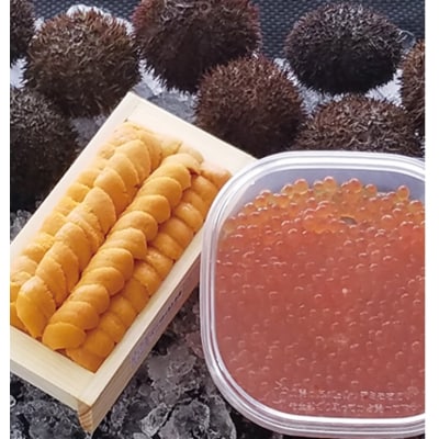＜12/17まで年内配送＞エゾバフンウニ100g、いくら150g[11月中旬発送] D-71059