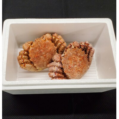 ＜12/17まで年内配送＞ウニ100g×1折、毛ガニ2尾[11月中旬以降発送] D-71063