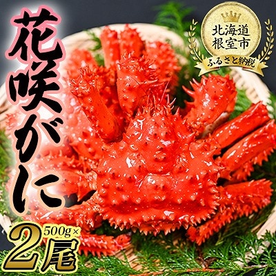 <12/21まで年内配送>★花咲がに500g前後×2尾セット B-80004