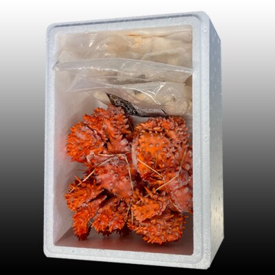 ＜12/21まで年内配送＞★花咲かに500g～650g×2尾、たこ唐揚げ×2P C-76045