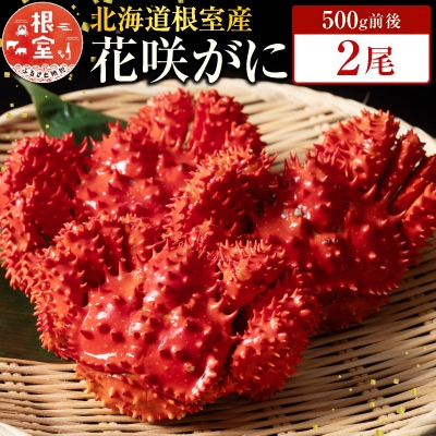 ＜12/21まで年内配送＞★花咲かに500g前後×2尾 A-19010