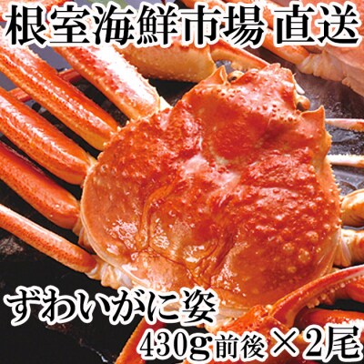 ＜12/10まで年内配送＞ずわいがに姿430g前後×2尾 A-11232