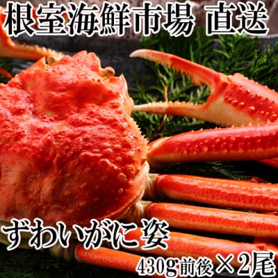 ＜12/10まで年内配送＞ずわいがに姿430g前後×2尾 A-14247