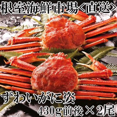 ＜12/10まで年内配送＞根室海鮮市場＜直送＞ずわいがに姿430g前後×2尾 A-28234
