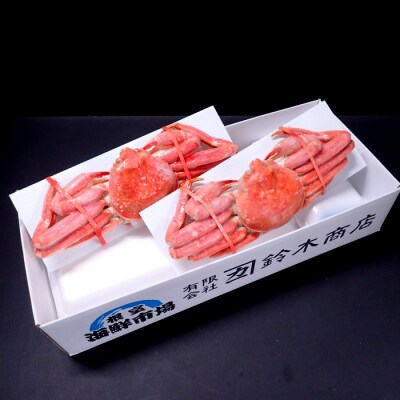 ＜12/10まで年内配送＞根室海鮮市場＜直送＞ずわいがに姿430g前後×2尾 A-28234