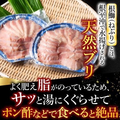 ＜12/21まで年内配送＞★天然根鰤しゃぶセット A-42126