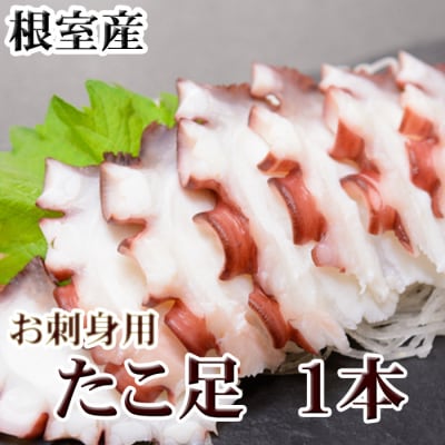 ＜12/21まで年内配送＞★たこ足500g前後～800g前後×1本 G-36008