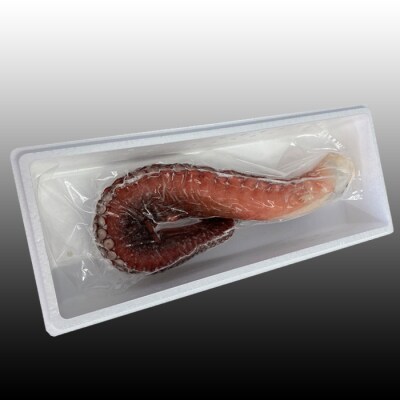 ＜12/21まで年内配送＞★たこ足500g前後～800g前後×1本 G-36008