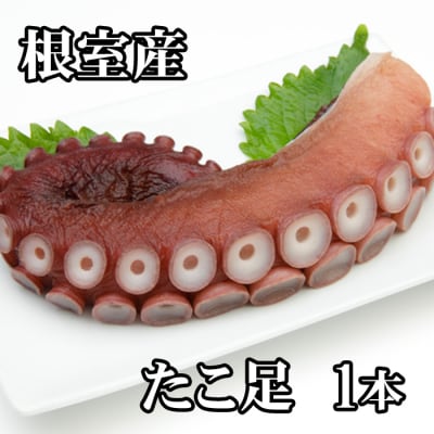 ＜12/21まで年内配送＞★たこ足500g前後～800g前後×1本 G-76008