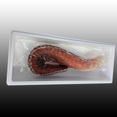 ＜12/21まで年内配送＞★たこ足500g前後～800g前後×1本 G-76008