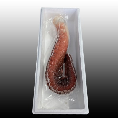 ＜12/21まで年内配送＞★たこ足500g前後～800g前後×1本 G-70008