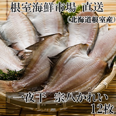 12/10܂ŔNz銱@ꂢ12 G-14006