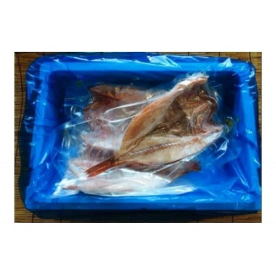 ＜12/10まで年内配送＞★開キンキ3枚セット D-04001