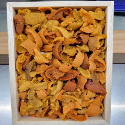 ＜12/17まで年内配送＞エゾバフンウニ(赤)130～140g[11月上旬以降発送] A-71046